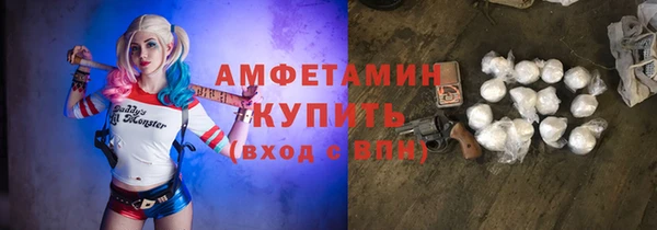 прущие грибы Сафоново