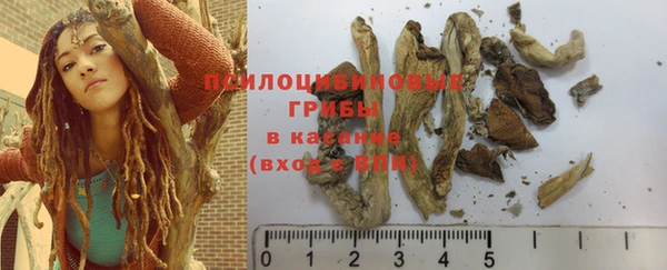 mix Белокуриха