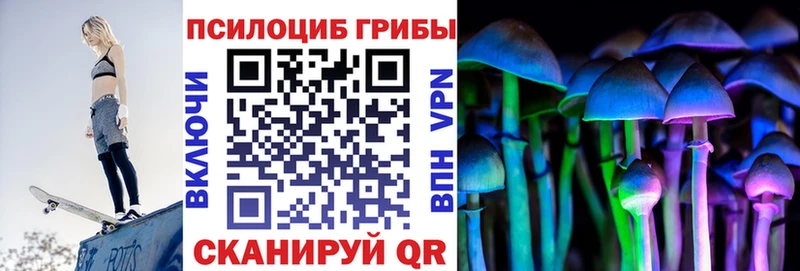 Галлюциногенные грибы Psilocybe  Верхняя Пышма 